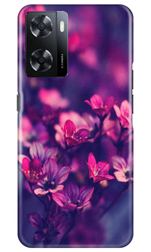flowers Mobile Back Case for Oppo A57 2022 (Design - 25)