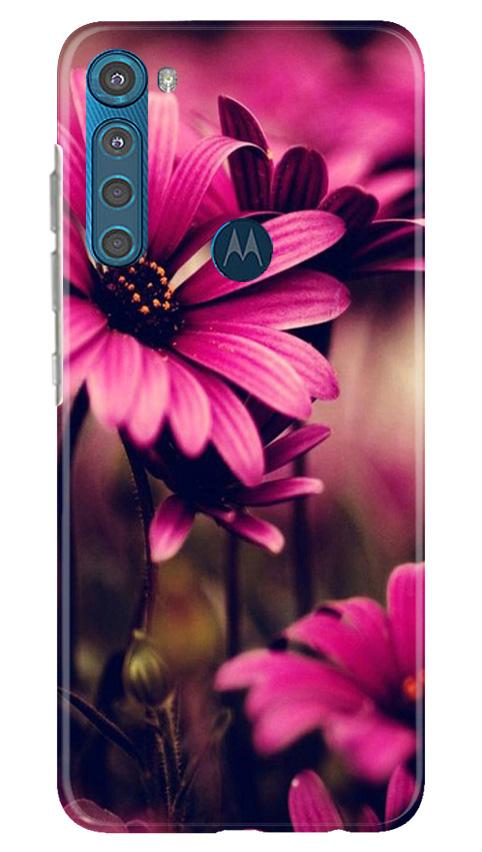 Purple Daisy Case for Moto One Fusion Plus