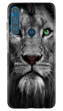 Lion Mobile Back Case for Moto One Fusion Plus (Design - 272)