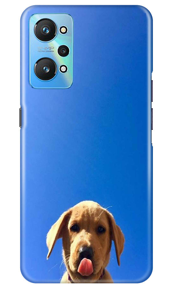 Dog Mobile Back Case for Realme GT Neo 2 (Design - 294)