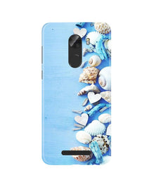 Sea Shells2 Mobile Back Case for Gionee A1 Lite (Design - 64)
