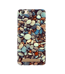 Pebbles Mobile Back Case for Gionee M5 Lite (Design - 205)