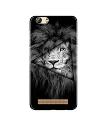 Lion Star Mobile Back Case for Gionee M5 Lite (Design - 226)