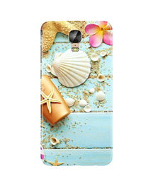 Sea Shells Mobile Back Case for Gionee M5 Plus (Design - 63)