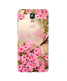 Pink flowers Mobile Back Case for Gionee M5 Plus (Design - 69)