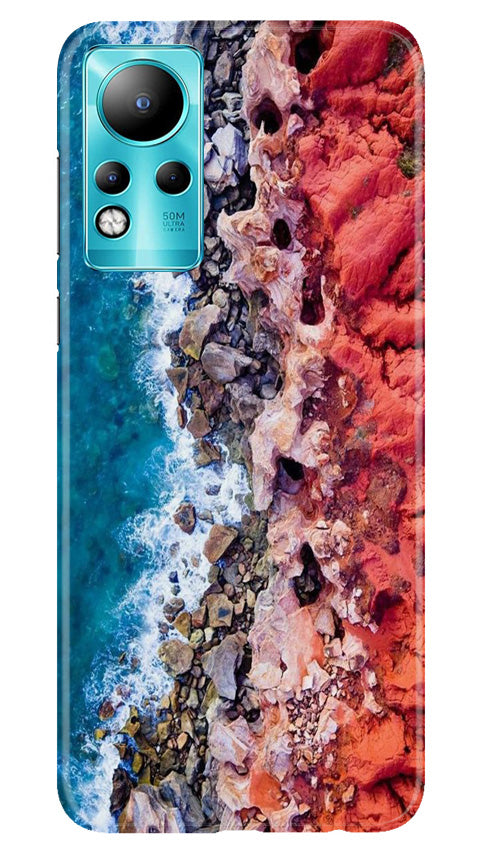 Lion Case for Infinix Note 11 (Design No. 241)