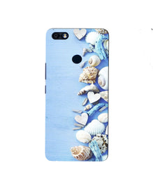 Sea Shells2 Mobile Back Case for Infinix Note 5 / Note 5 Pro (Design - 64)