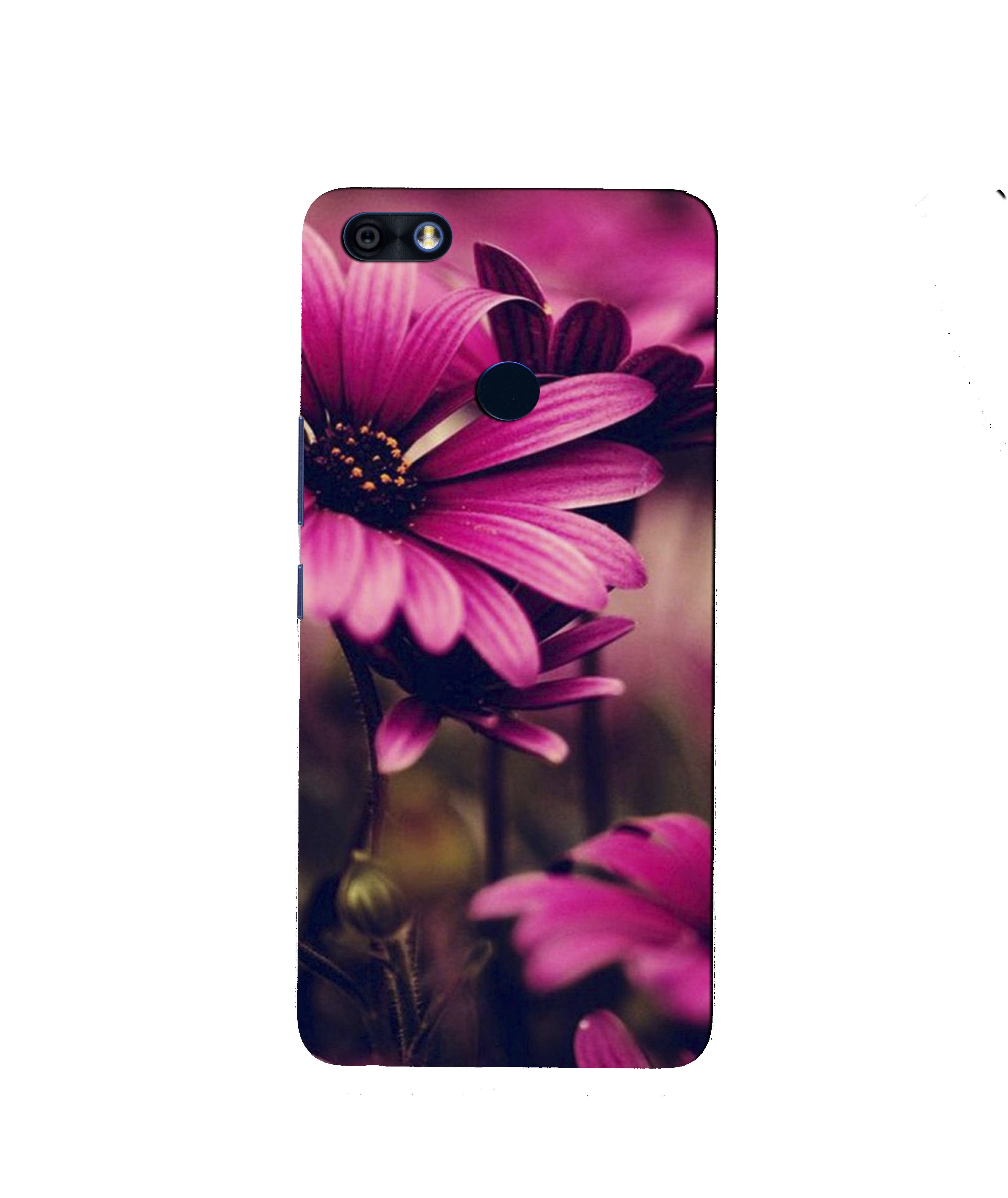 Purple Daisy Case for Infinix Note 5 / Note 5 Pro