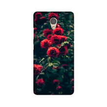 Red Rose Mobile Back Case for Lenovo P2 (Design - 66)