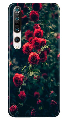 Red Rose Mobile Back Case for Xiaomi Mi 10 (Design - 66)
