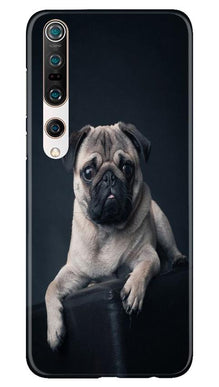 little Puppy Mobile Back Case for Xiaomi Mi 10 (Design - 68)