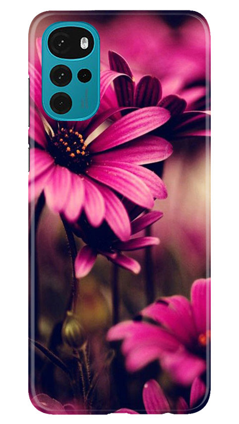 Purple Daisy Case for Moto G22