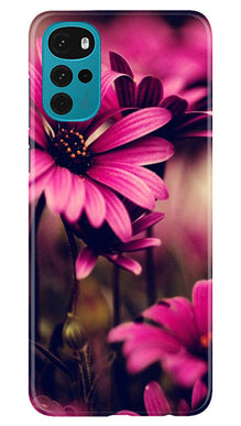 Purple Daisy Mobile Back Case for Moto G22 (Design - 65)