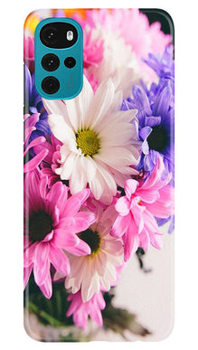 Coloful Daisy Mobile Back Case for Moto G22 (Design - 73)