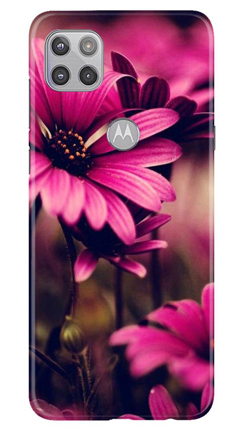 Purple Daisy Case for Moto G 5G