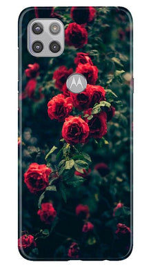 Red Rose Mobile Back Case for Moto G 5G (Design - 66)