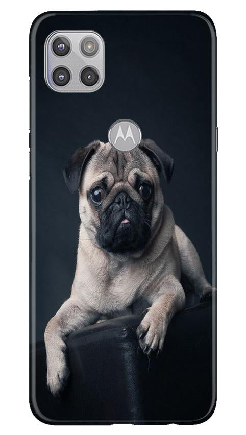 little Puppy Case for Moto G 5G