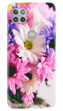 Coloful Daisy Mobile Back Case for Moto G 5G (Design - 73)