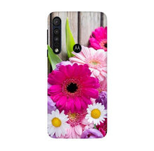 Coloful Daisy2 Mobile Back Case for Moto G8 Plus (Design - 76)