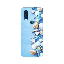 Sea Shells2 Mobile Back Case for Moto One Vision (Design - 64)