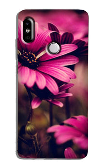 Purple Daisy Case for Redmi 6 Pro