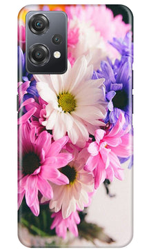 Coloful Daisy Mobile Back Case for OnePlus Nord CE 2 Lite 5G (Design - 73)