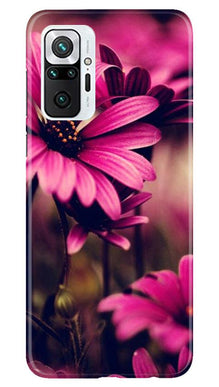 Purple Daisy Mobile Back Case for Redmi Note 10 Pro Max (Design - 65)