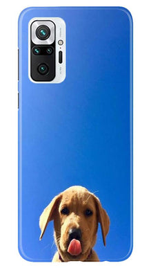 Dog Mobile Back Case for Redmi Note 10 Pro (Design - 332)
