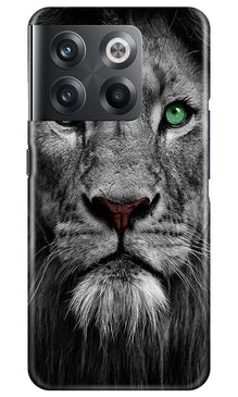 Lion Mobile Back Case for OnePlus 10T 5G (Design - 241)