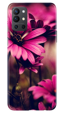Purple Daisy Mobile Back Case for OnePlus 9R (Design - 65)