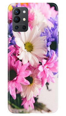 Coloful Daisy Mobile Back Case for OnePlus 9R (Design - 73)