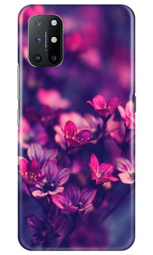 flowers Mobile Back Case for OnePlus 8T (Design - 25)