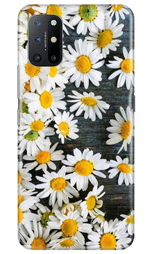 White flowers2 Mobile Back Case for OnePlus 8T (Design - 62)