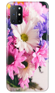 Coloful Daisy Mobile Back Case for OnePlus 8T (Design - 73)