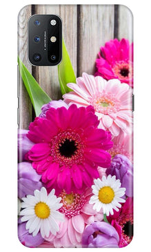 Coloful Daisy2 Mobile Back Case for OnePlus 8T (Design - 76)