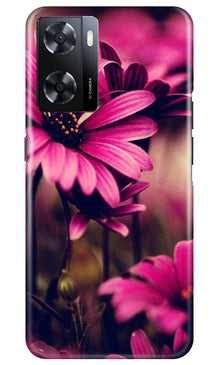 Purple Daisy Mobile Back Case for Oppo A57 (Design - 65)
