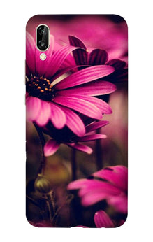 Purple Daisy Case for Vivo V11 Pro