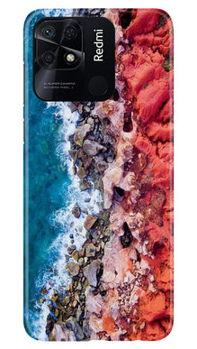Lion Mobile Back Case for Redmi 10C (Design - 241)