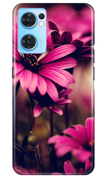Purple Daisy Mobile Back Case for Oppo Reno7 5G (Design - 65)