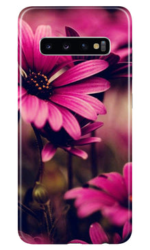 Purple Daisy Mobile Back Case for Samsung Galaxy S10 (Design - 65)