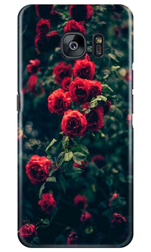 Red Rose Mobile Back Case for Samsung Galaxy S7 Edge (Design - 66)