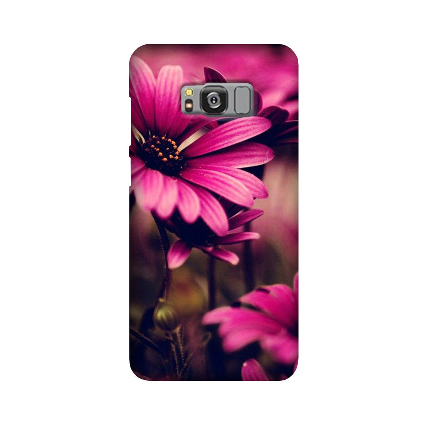 Purple Daisy Case for Galaxy S8