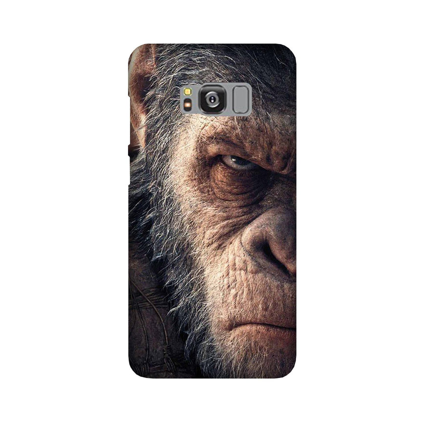 Angry Ape Mobile Back Case for Galaxy S8 Plus  (Design - 316)