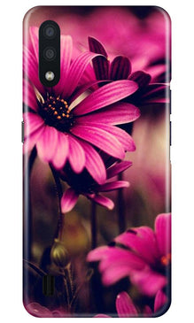 Purple Daisy Mobile Back Case for Samsung Galaxy M01 (Design - 65)