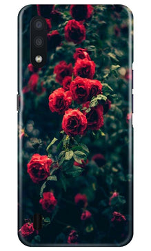 Red Rose Mobile Back Case for Samsung Galaxy M01 (Design - 66)