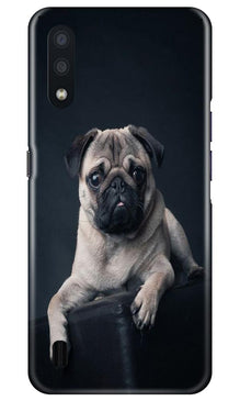 little Puppy Mobile Back Case for Samsung Galaxy M01 (Design - 68)