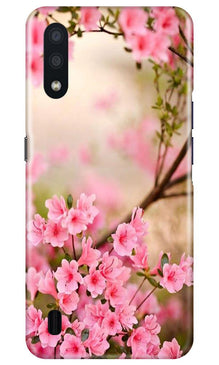 Pink flowers Mobile Back Case for Samsung Galaxy M01 (Design - 69)