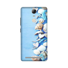 Sea Shells2 Mobile Back Case for Lenovo Vibe K5 Note (Design - 64)