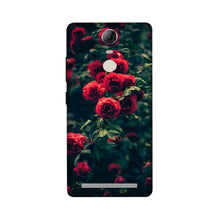 Red Rose Mobile Back Case for Lenovo Vibe K5 Note (Design - 66)