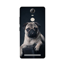 little Puppy Mobile Back Case for Lenovo Vibe K5 Note (Design - 68)